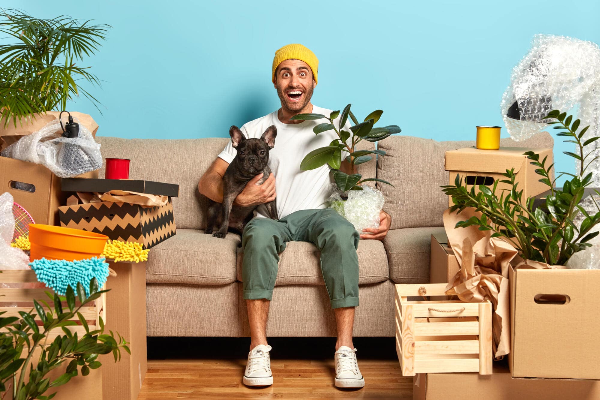 Pros and Cons of Allowing Pets in Your Rental Property